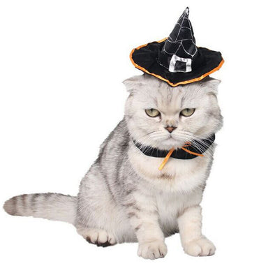 New Adjustable Halloween Wizard Hat Creative Cat Dog Hats Pet Witch Hat Costume Accessories For Cats And Dogs Dropshipping