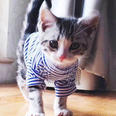 Warm Cat Clothes Autumn Winter Pet Clothing For Small Cats Dogs Cotton Cat Costumes Soft Kitten Kitty Coat Jacket Puppy Outfit