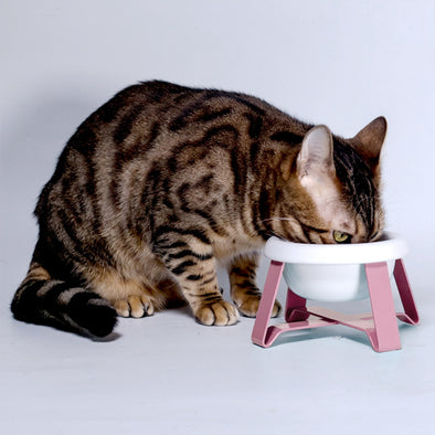 Pet Bowls 2 In 1 Pet Food Water Feeder Creative Antislip Cat Feeding Bowl Cat Food Bowl With Iron Stand Pet Feeding Supplies