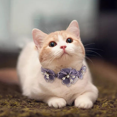 Elegant Flowers Pet Necklace Fashion Cute Cartoon Charm Pearl Cat Necklace Pet Collar Necklace Pet Clothing Accessories
