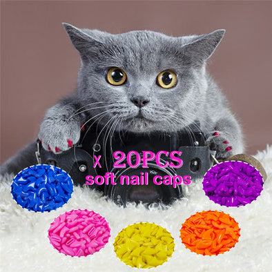20pcs Silicone Soft Cat Nail Caps / Cat Paw Claw / Pet Nail Protector/Cat Nail Cover with free Glue and Applictor