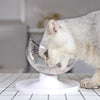 Creative Transparent Adjustable Pet Bowl Anti-Skid Tilting Style Pet Feeder Bowl Pet Food Bowl For Dogs Cat Pet Feeding Supplies