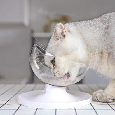 Creative Transparent Adjustable Pet Bowl Anti-Skid Tilting Style Pet Feeder Bowl Pet Food Bowl For Dogs Cat Pet Feeding Supplies