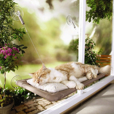Cat Hammock Window Mounted Bed Sofa Mat Cushion Hanging Shelf Seat with Suction
