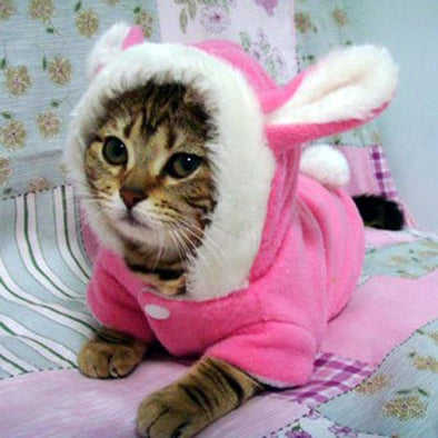 Pet Cat Clothes Mascotas