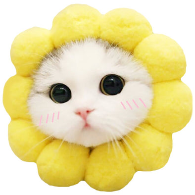 Cute Cartoon Sunflower Dogs Cat Hats Pet Decoration Accessories Animals Design Warm Head Cap Winter Party Clothing Supplies